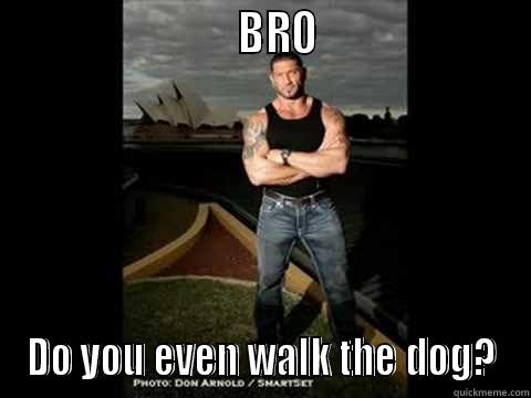                           BRO                       DO YOU EVEN WALK THE DOG? Misc