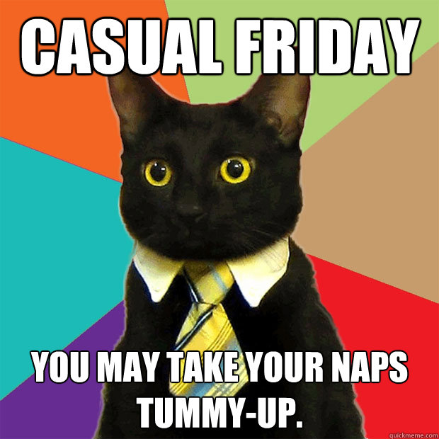 Casual Friday You may take your naps tummy-up.  Business Cat