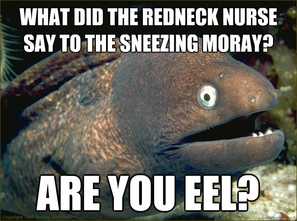 What did the redneck nurse say to the sneezing moray? Are you eel?  Bad Joke Eel