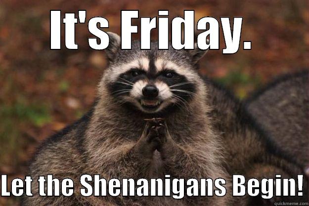 IT'S FRIDAY.  LET THE SHENANIGANS BEGIN! Evil Plotting Raccoon