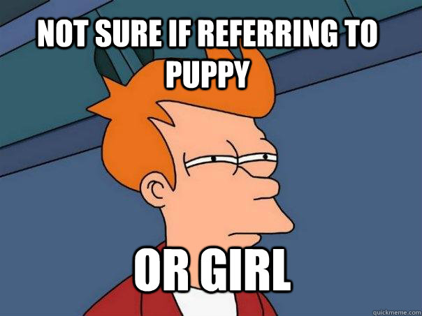 not sure if referring to puppy or girl  Futurama Fry