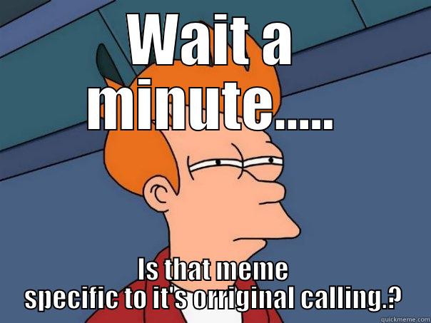 WAIT A MINUTE..... IS THAT MEME SPECIFIC TO IT'S ORRIGINAL CALLING.? Futurama Fry