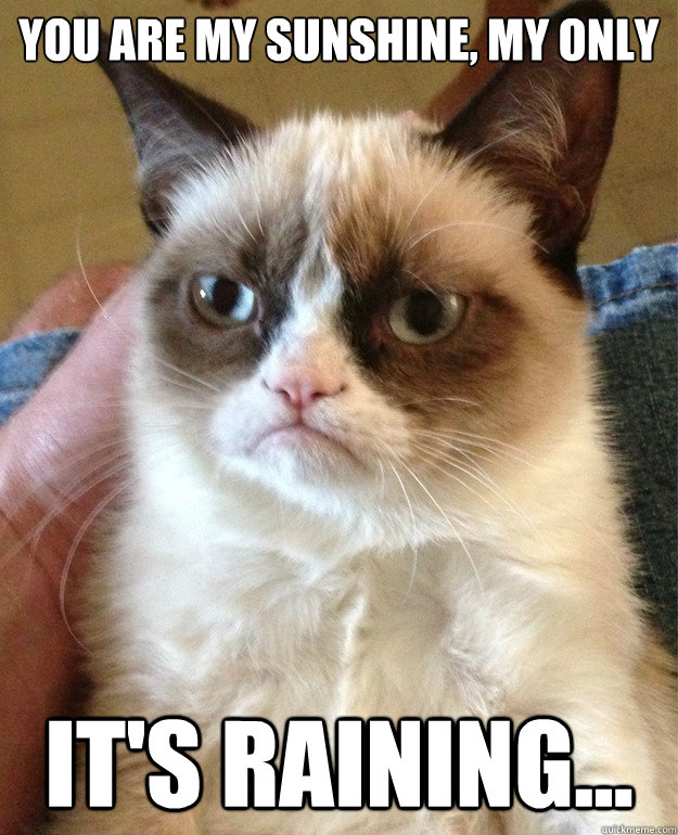 You are my sunshine, my only It's raining... - You are my sunshine, my only It's raining...  Grumpy Cat