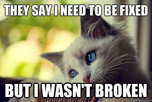 They say I need to be fixed
 But I wasn't broken  First World Problems Cat