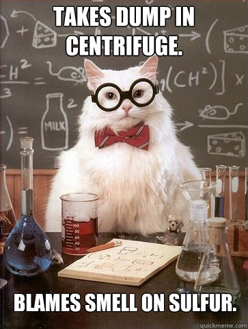 Takes dump in centrifuge. Blames smell on sulfur. - Takes dump in centrifuge. Blames smell on sulfur.  Chemistry Cat