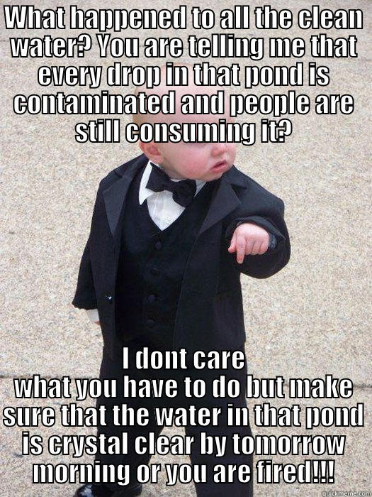 WHAT HAPPENED TO ALL THE CLEAN WATER? YOU ARE TELLING ME THAT EVERY DROP IN THAT POND IS CONTAMINATED AND PEOPLE ARE STILL CONSUMING IT? I DONT CARE WHAT YOU HAVE TO DO BUT MAKE SURE THAT THE WATER IN THAT POND IS CRYSTAL CLEAR BY TOMORROW MORNING OR YOU ARE FIRED!!! Baby Godfather