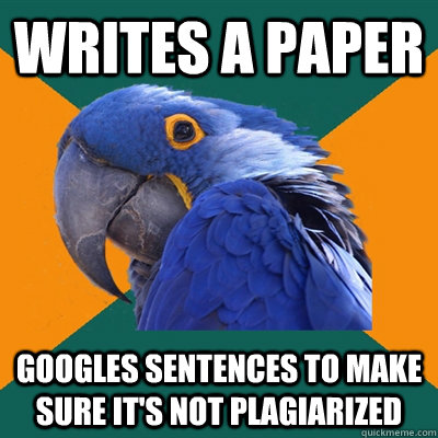 Writes a paper Googles sentences to make sure it's not plagiarized  Paranoid Parrot