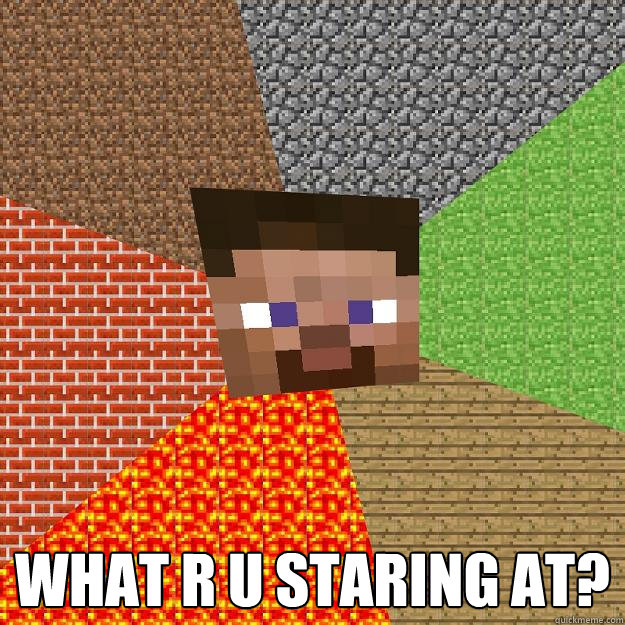  what r u staring at?  Minecraft