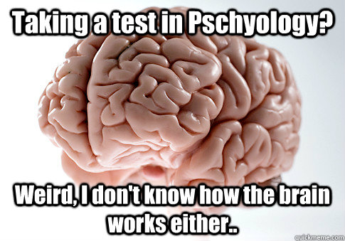 Taking a test in Pschyology? Weird, I don't know how the brain works either..  - Taking a test in Pschyology? Weird, I don't know how the brain works either..   Scumbag Brain