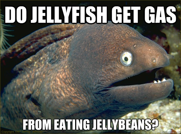 Do Jellyfish get gas from eating jellybeans? - Do Jellyfish get gas from eating jellybeans?  Bad Joke Eel