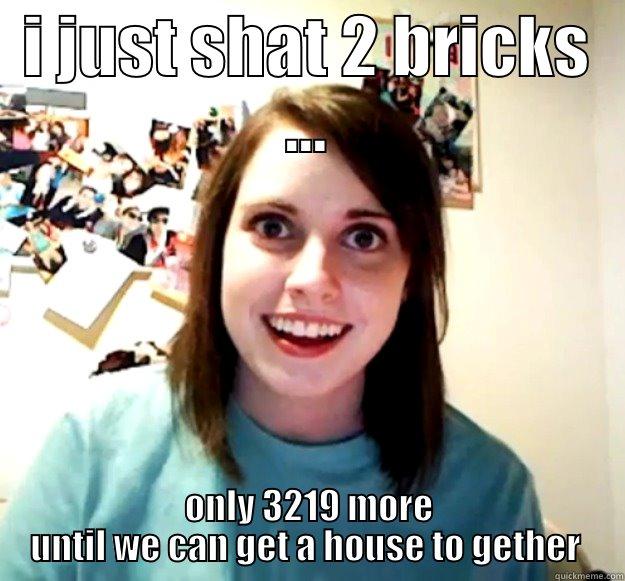 I JUST SHAT 2 BRICKS ... ONLY 3219 MORE UNTIL WE CAN GET A HOUSE TO GETHER  Overly Attached Girlfriend
