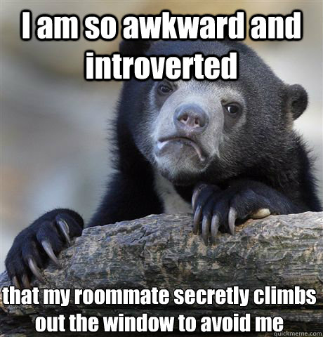 I am so awkward and introverted that my roommate secretly climbs out the window to avoid me  Confession Bear