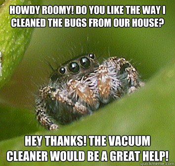 howdy roomy! do you like the way i cleaned the bugs from our house? hey thanks! the vacuum cleaner would be a great help! - howdy roomy! do you like the way i cleaned the bugs from our house? hey thanks! the vacuum cleaner would be a great help!  Misunderstood Spider