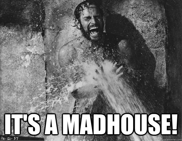  IT'S A MADHOUSE!  Charlton Heston Madhouse