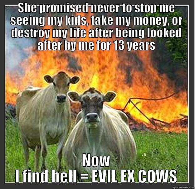 SHE PROMISED NEVER TO STOP ME SEEING MY KIDS, TAKE MY MONEY, OR DESTROY MY LIFE AFTER BEING LOOKED AFTER BY ME FOR 13 YEARS NOW I FIND HELL = EVIL EX COWS Evil cows