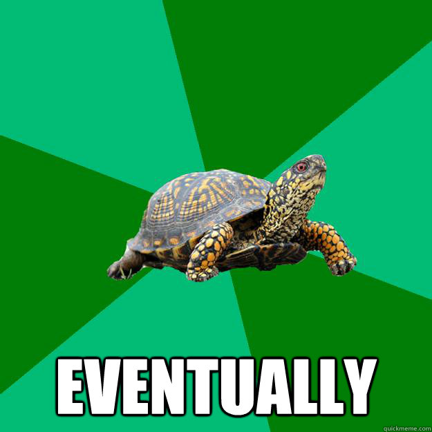  eventually -  eventually  Torrenting Turtle