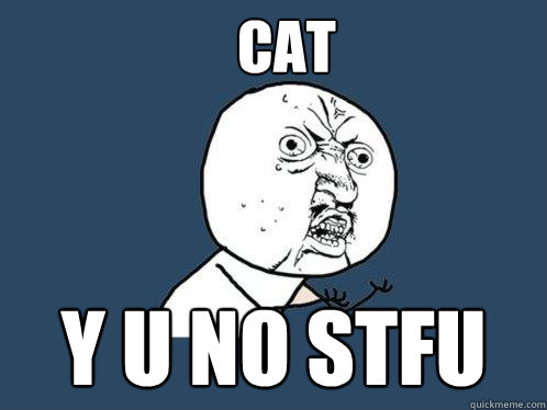 CAT y u no STFU  Y U No