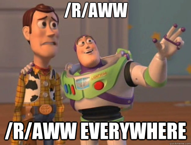 /r/aww /r/aww everywhere  Toy Story