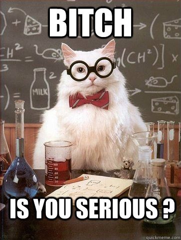 Bitch Is You serious ?  - Bitch Is You serious ?   Chemistry Cat