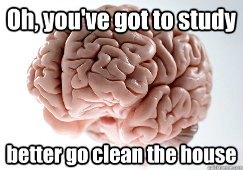 Oh, you've got to study better go clean the house   Scumbag Brain