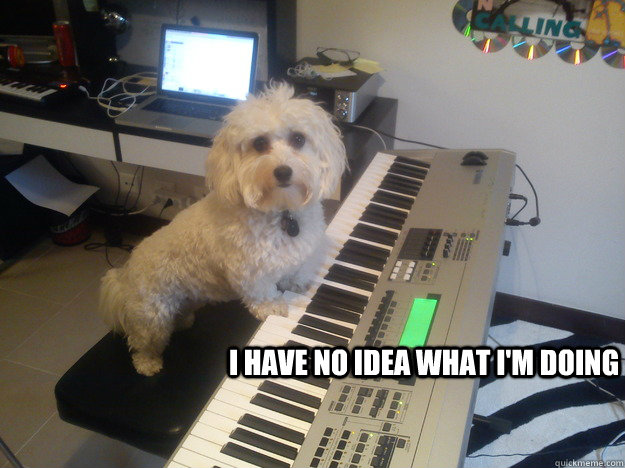 I have no idea what i'm doing  When making electronic music