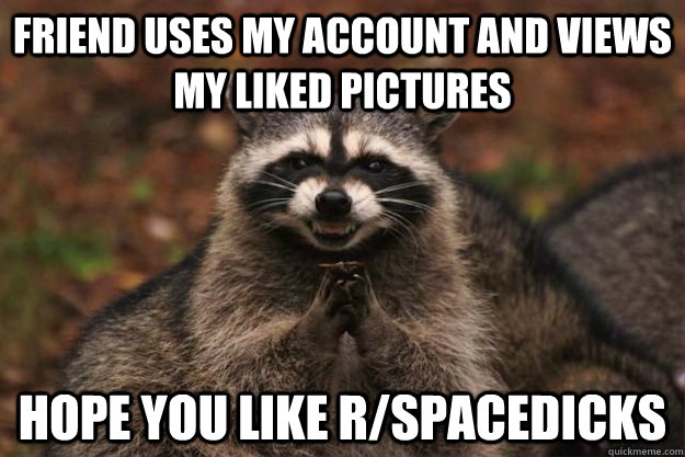 Friend uses my account and views my liked pictures Hope you like r/spacedicks - Friend uses my account and views my liked pictures Hope you like r/spacedicks  Evil Plotting Raccoon