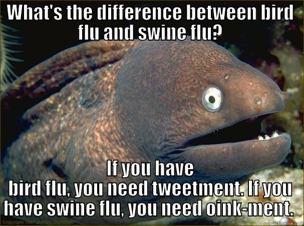 WHAT'S THE DIFFERENCE BETWEEN BIRD FLU AND SWINE FLU? IF YOU HAVE BIRD FLU, YOU NEED TWEETMENT. IF YOU HAVE SWINE FLU, YOU NEED OINK-MENT.  Bad Joke Eel