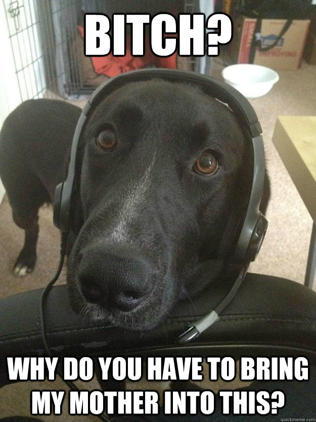 Bitch? Why do you have to bring my mother into this?  Gamer Dog