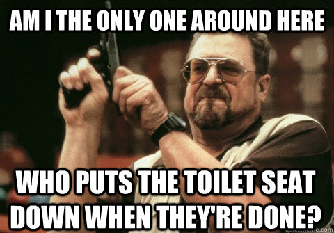 Am I the only one around here who puts the toilet seat down when they're done? - Am I the only one around here who puts the toilet seat down when they're done?  Am I the only one