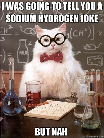 I WAS GOING TO TELL YOU A SODIUM HYDROGEN JOKE BUT NAH   Chemistry Cat