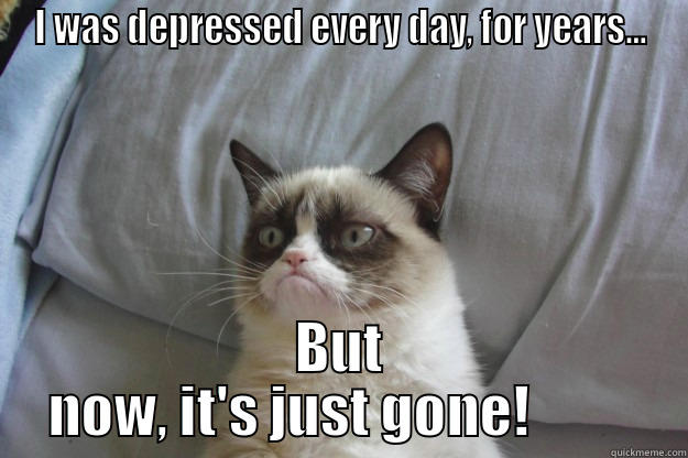 I WAS DEPRESSED EVERY DAY, FOR YEARS... BUT NOW, IT'S JUST GONE!          Grumpy Cat