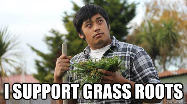 I support grass roots  