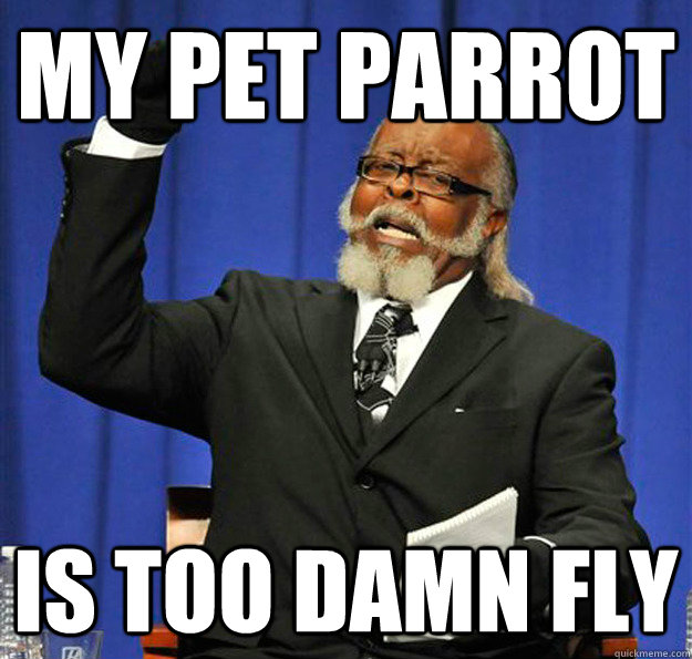 My pet parrot Is too damn fly  Jimmy McMillan