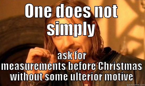 ONE DOES NOT SIMPLY ASK FOR MEASUREMENTS BEFORE CHRISTMAS WITHOUT SOME ULTERIOR MOTIVE Boromir