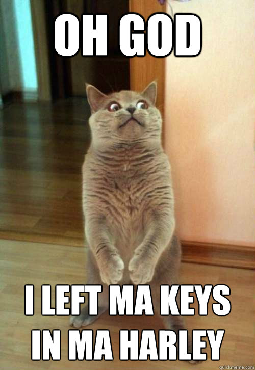 Oh god i left ma keys in ma harley  Horrorcat