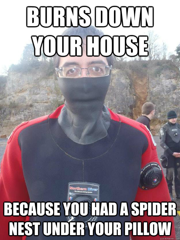 burns down your house because you had a spider nest under your pillow  Moral grey area mike