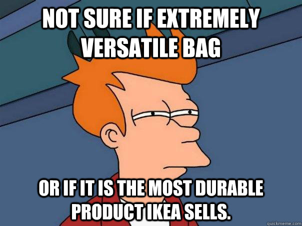 NOT SURE IF EXTREMELY VERSATILE BAG OR IF IT IS THE MOST DURABLE PRODUCT IKEA SELLS.  Futurama Fry