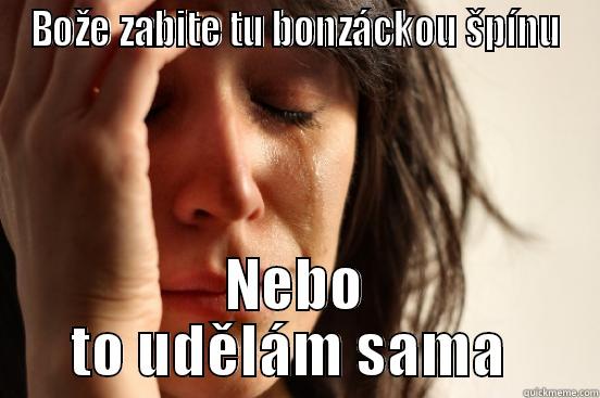 BOŽE ZABITE TU BONZÁCKOU ŠPÍNU NEBO TO UDĚLÁM SAMA  First World Problems