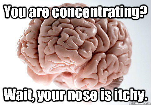 You are concentrating? Wait, your nose is itchy.  Scumbag Brain