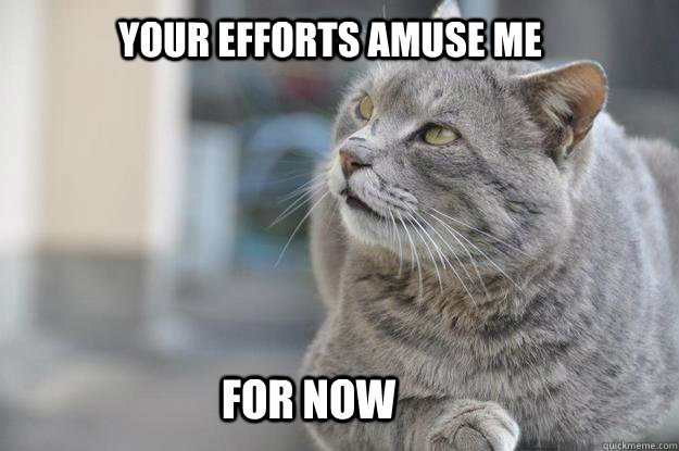 Your efforts amuse me For now  Cynical Cat