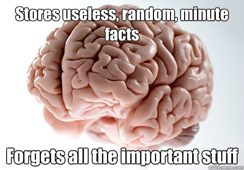 Stores useless, random, minute facts Forgets all the important stuff   Scumbag Brain