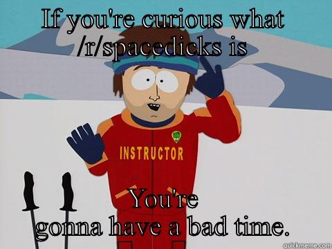 IF YOU'RE CURIOUS WHAT /R/SPACEDICKS IS YOU'RE GONNA HAVE A BAD TIME. Bad Time