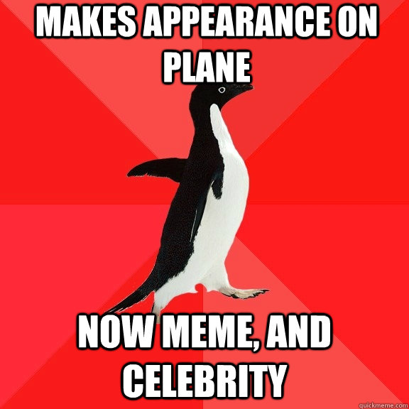 Makes appearance on plane  Now meme, and celebrity   Socially Awesome Penguin