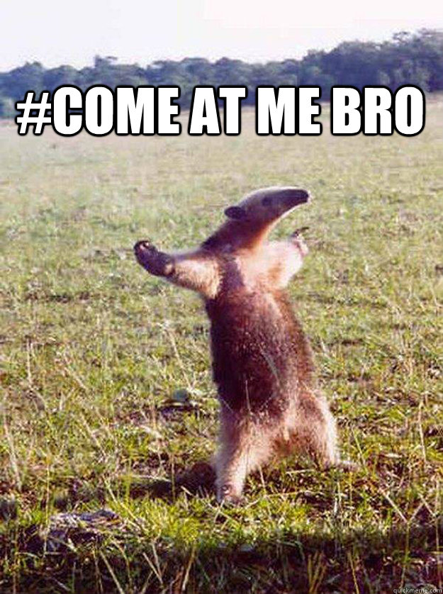 #Come At Me Bro - #Come At Me Bro  come at me bro anteater