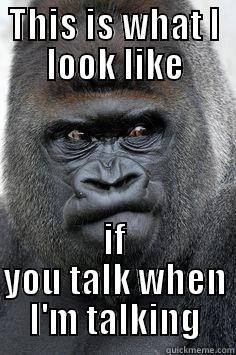 No talky - THIS IS WHAT I LOOK LIKE IF YOU TALK WHEN I'M TALKING Misc