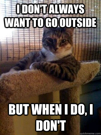 i don't always want to go outside but when i do, i don't  The Most Interesting Cat in the World