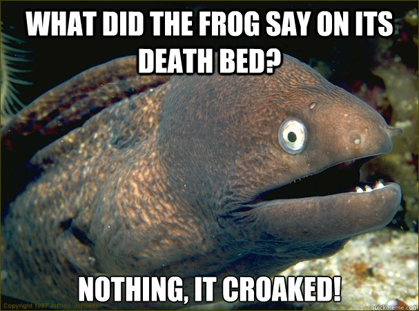 What did the frog say on its death bed? Nothing, it croaked! - What did the frog say on its death bed? Nothing, it croaked!  Bad Joke Eel