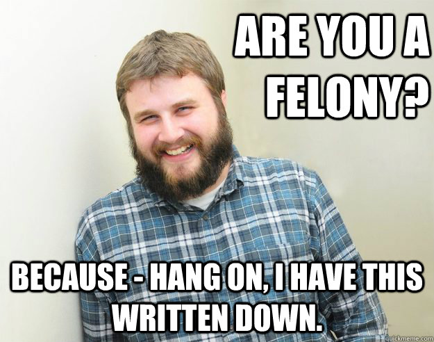 Are you a felony? Because - hang on, I have this written down.  