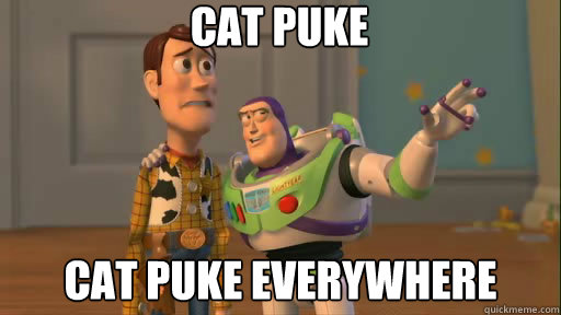 cat puke cat puke everywhere - cat puke cat puke everywhere  Everywhere