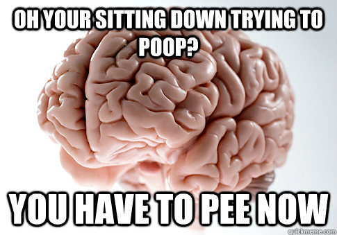 Oh your sitting down trying to poop? You have to pee now  Scumbag Brain